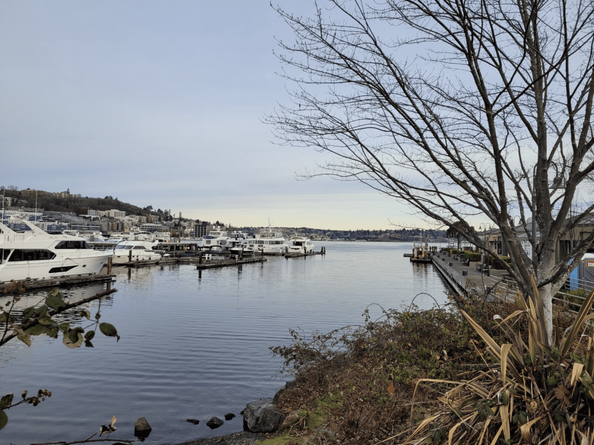 Police Recover Body From South Lake Union, No Signs of Foul Play