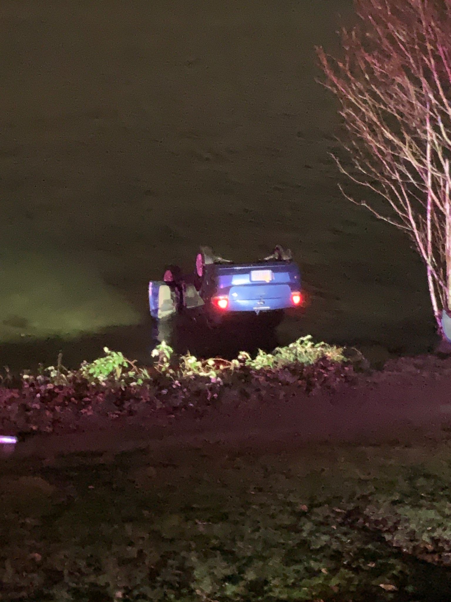 Driver Crashes into Lake Washington, Leaves Car Behind