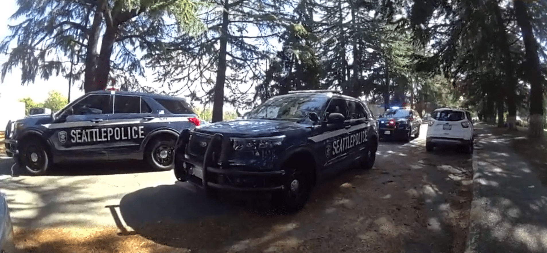 Seattle police vehicles at the scene.