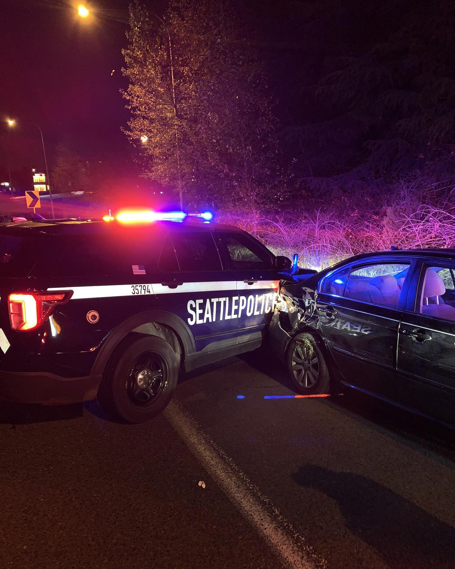 Suspect reverses stolen car into police vehicle.