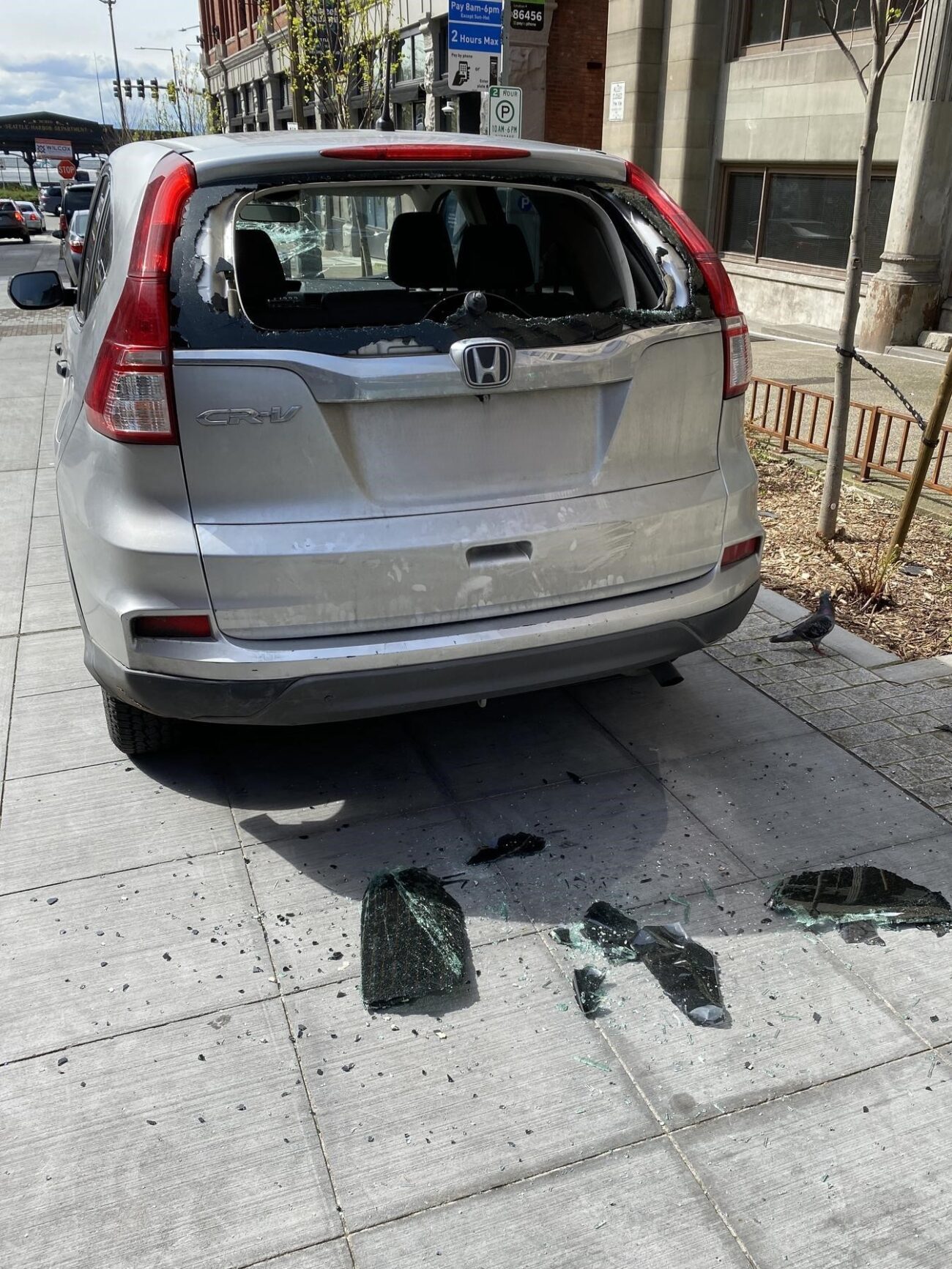 Officers Arrest Man Who Smashed Windows of 8 Cars in Pioneer Square ...