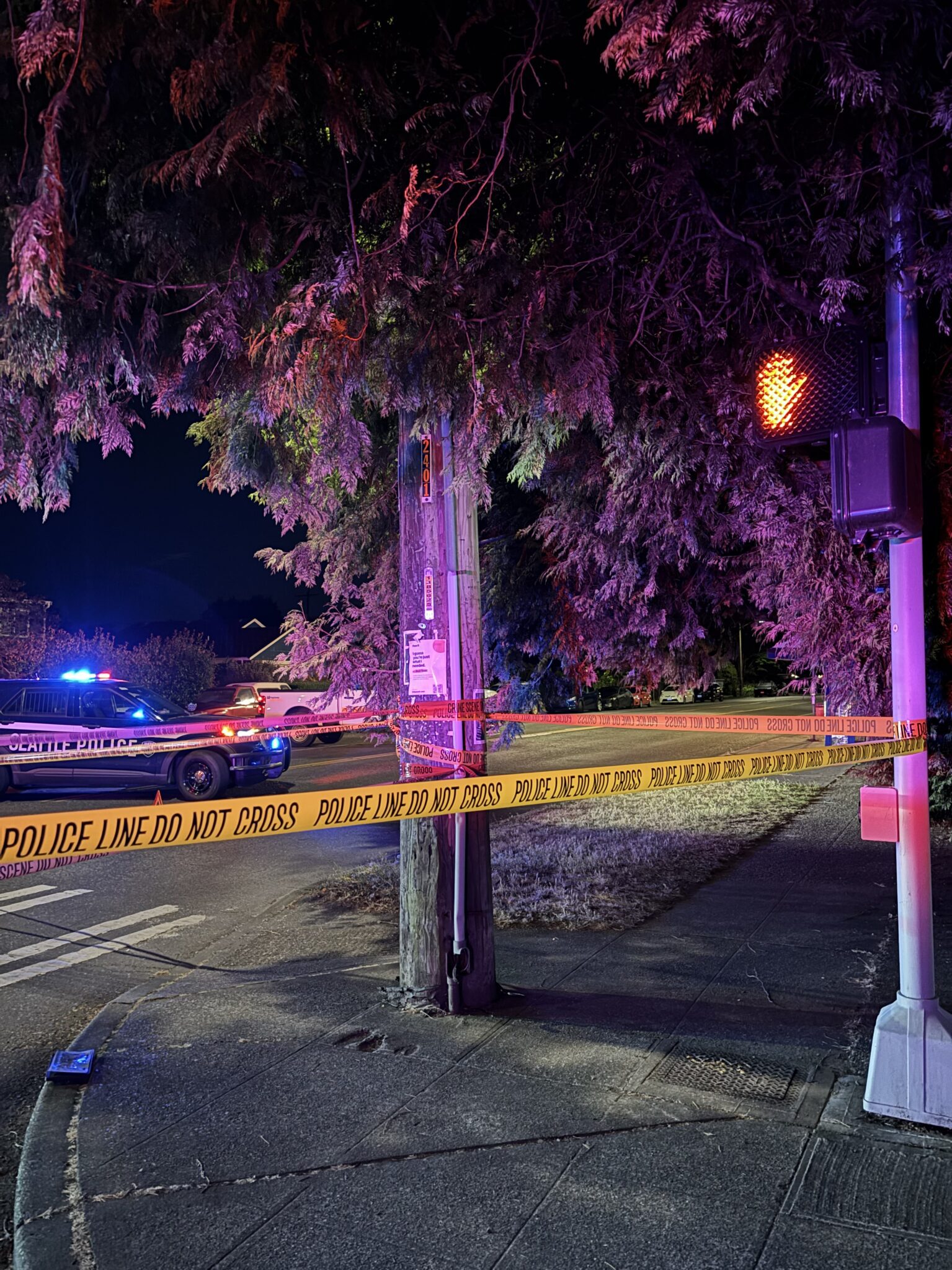 Detectives Investigating Deadly Collision in North Seattle
