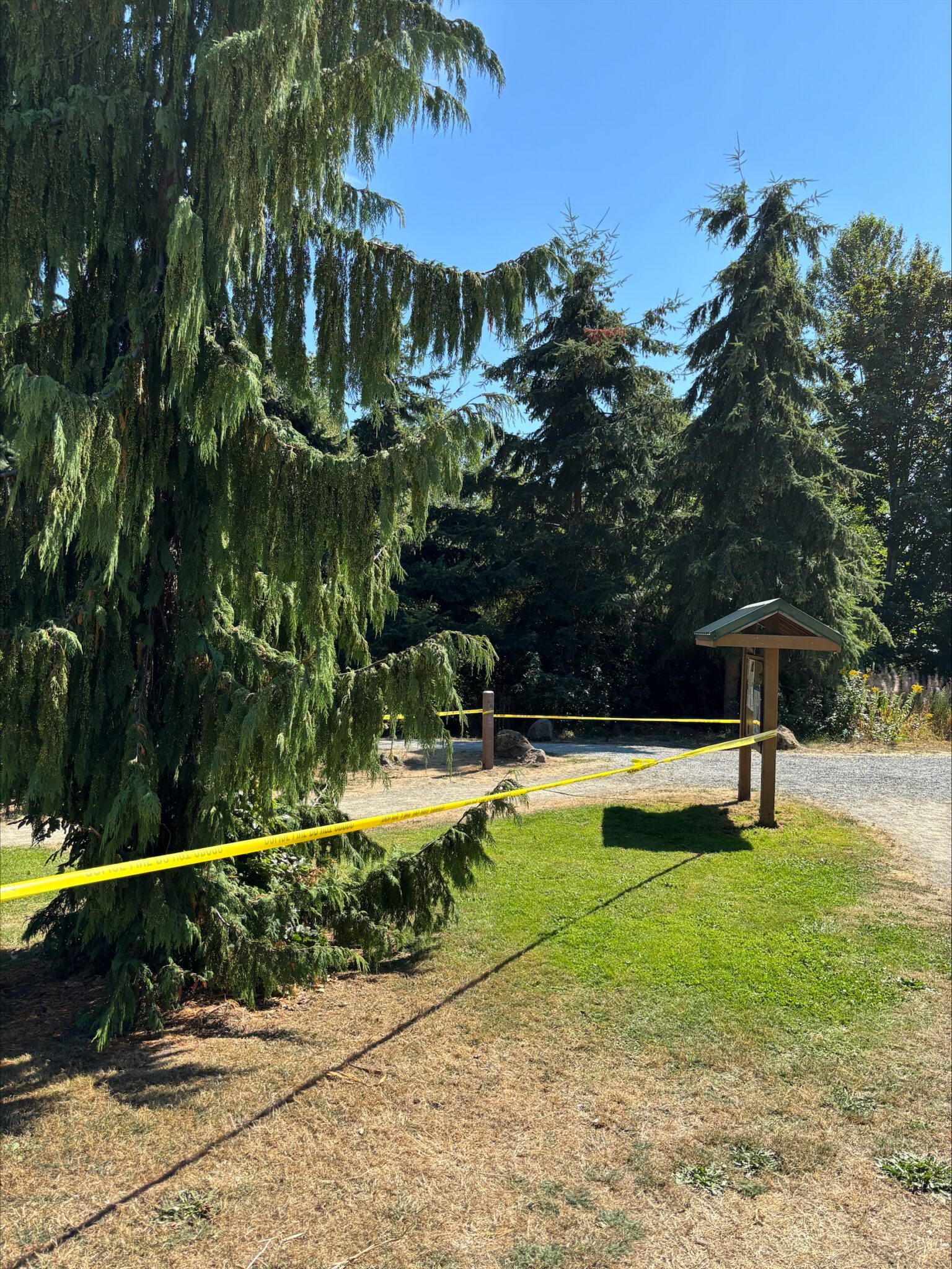 Man Shot in Roxhill Park