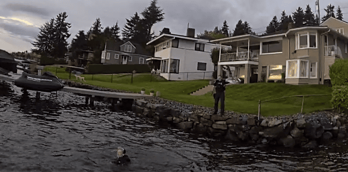 suspect in water